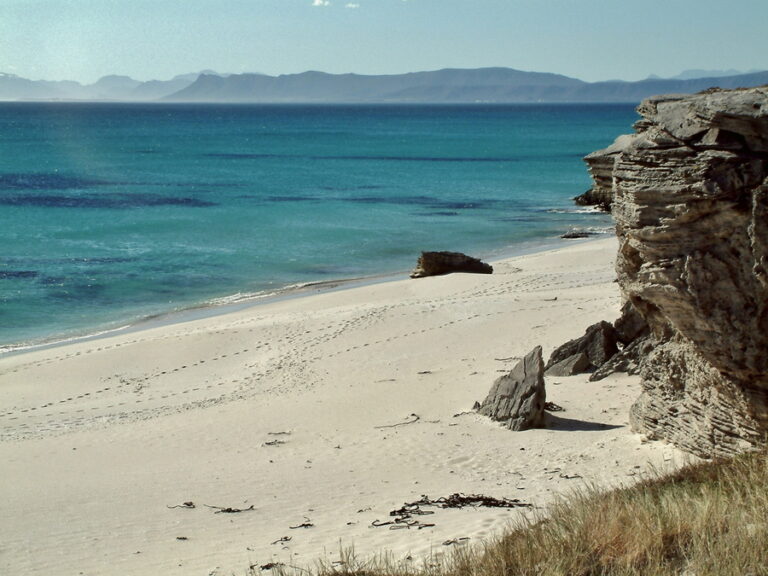 Plaat walk footprints in sand